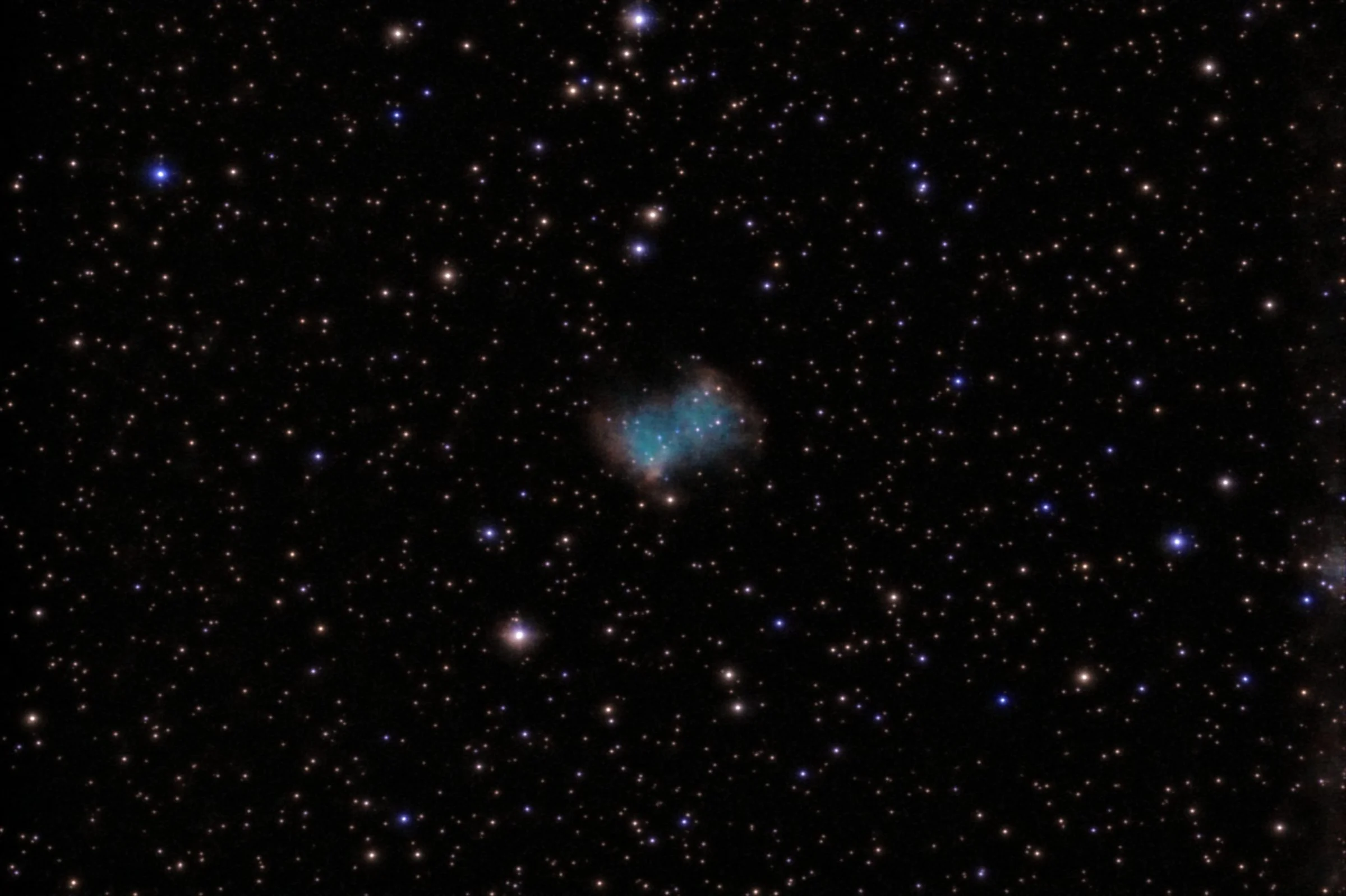 Stars